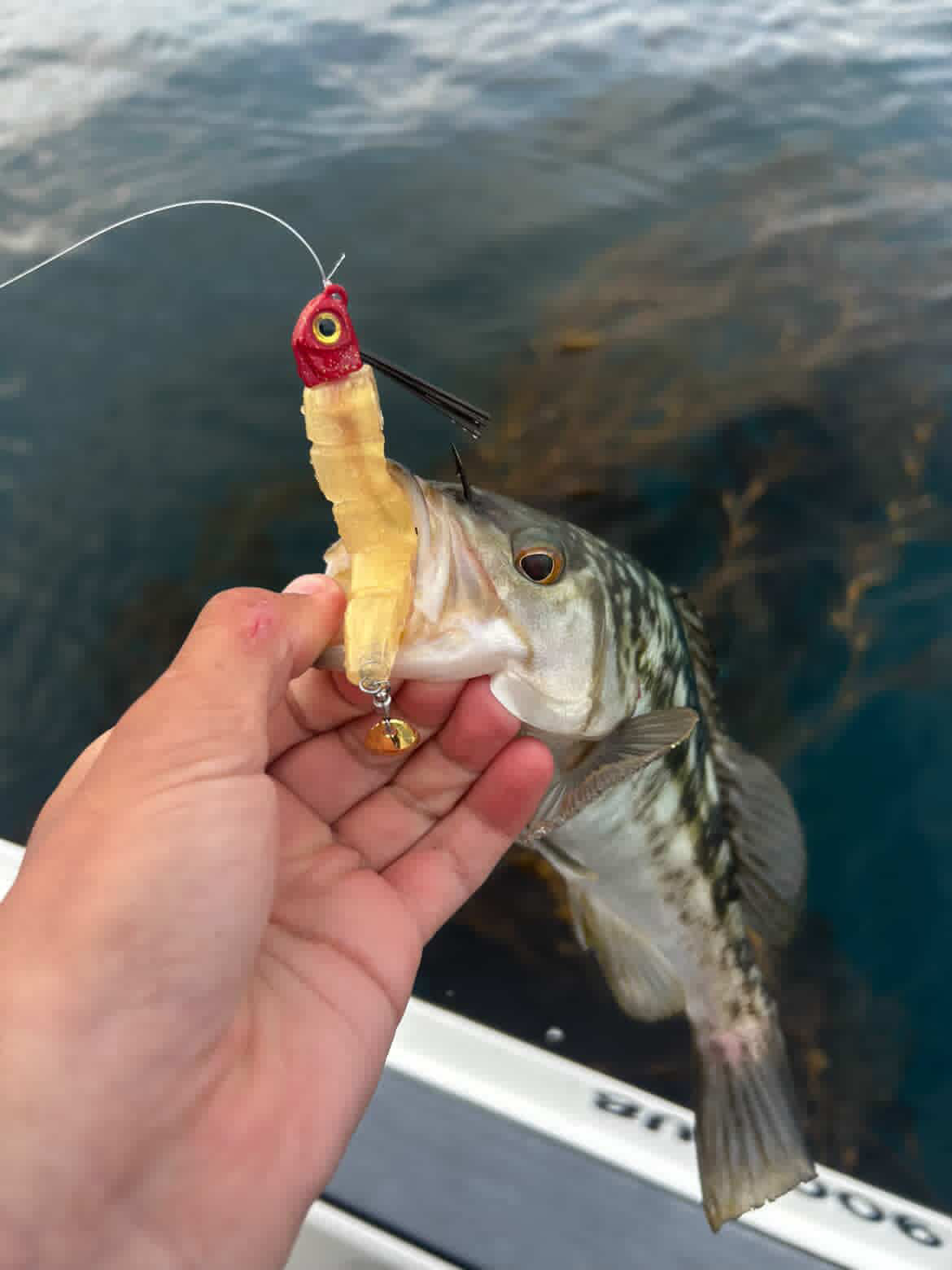 Grub n Tug 3pk