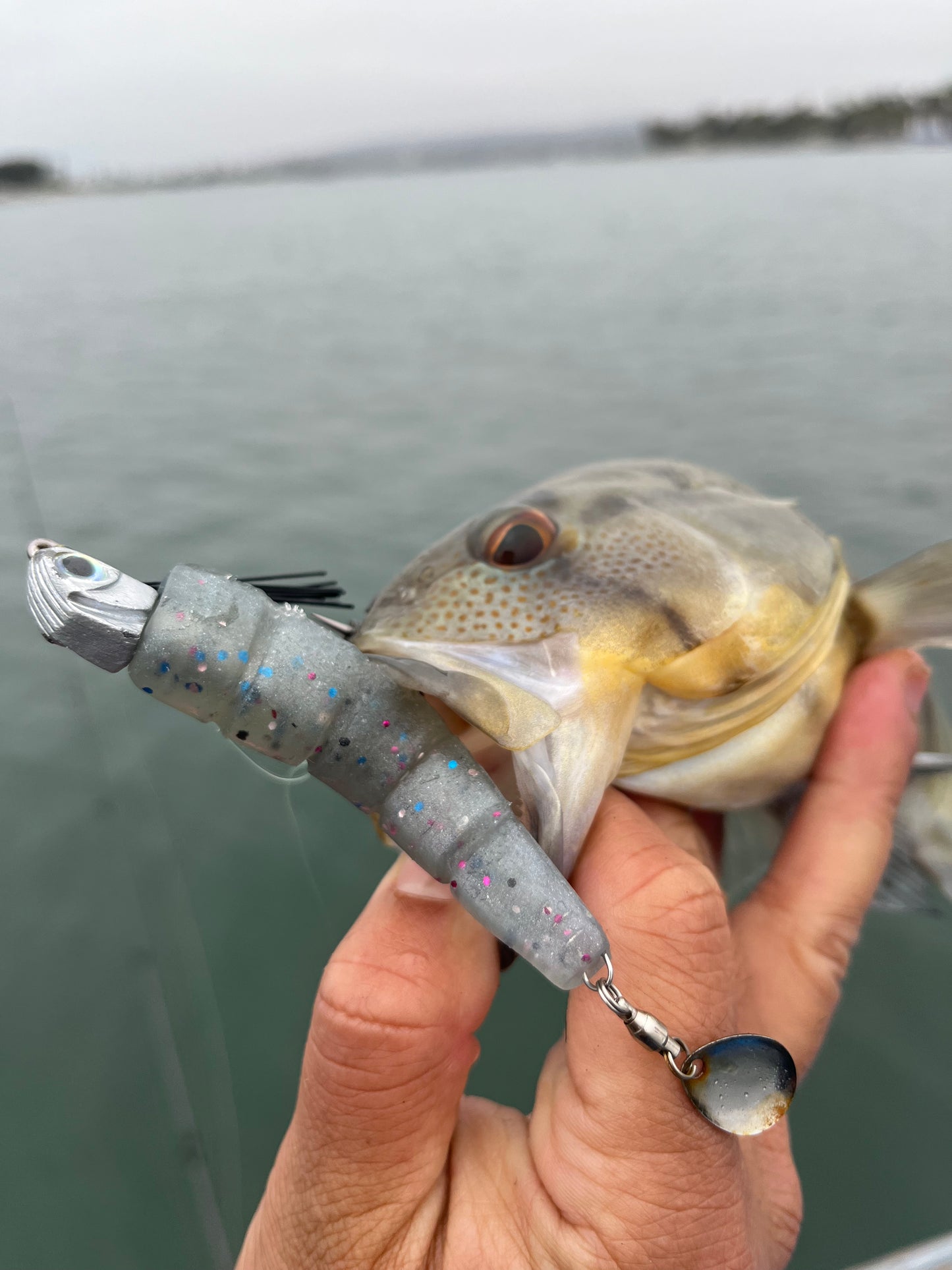 Grub n Tug 3pk