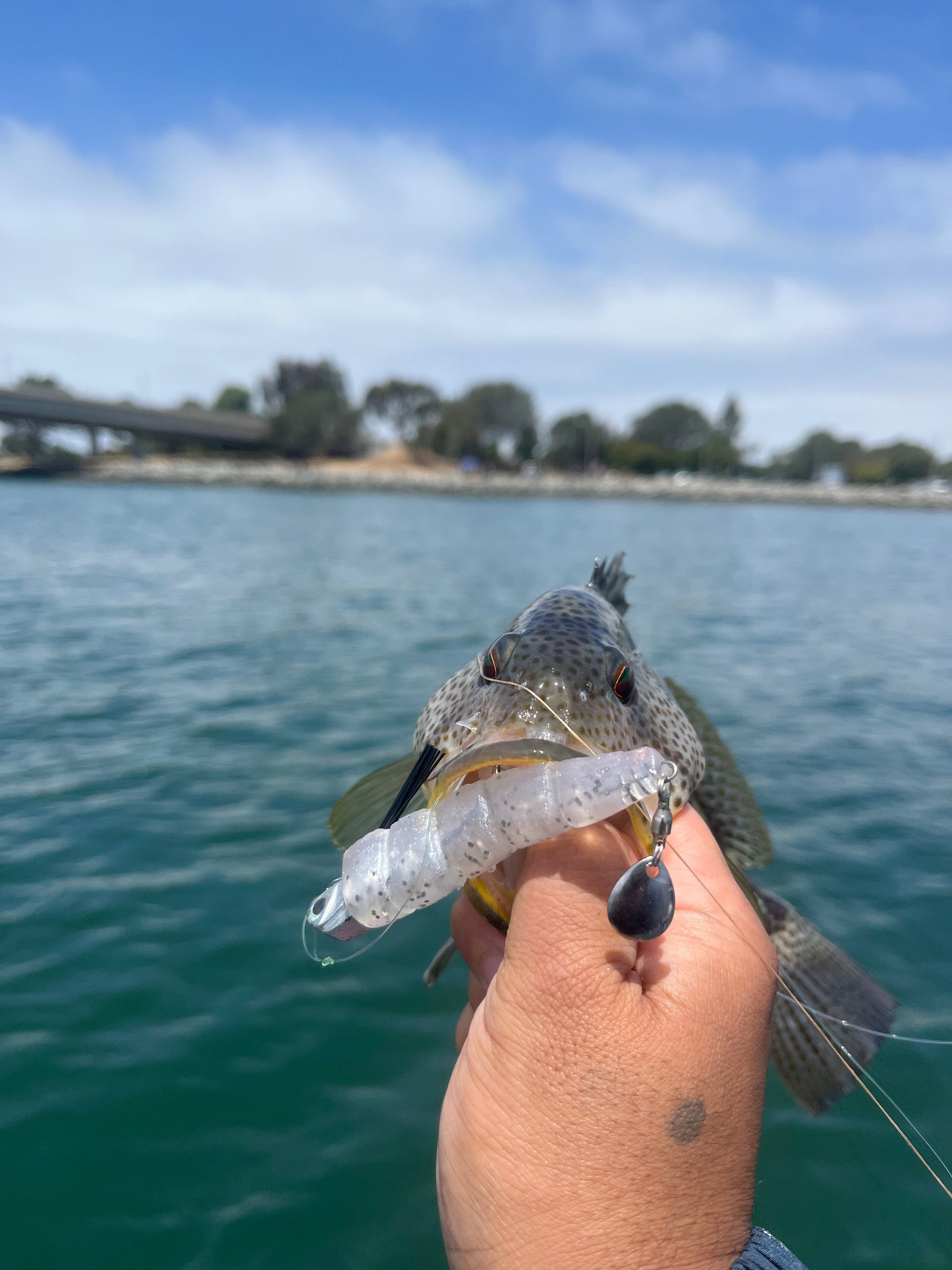 Grub n Tug 3pk