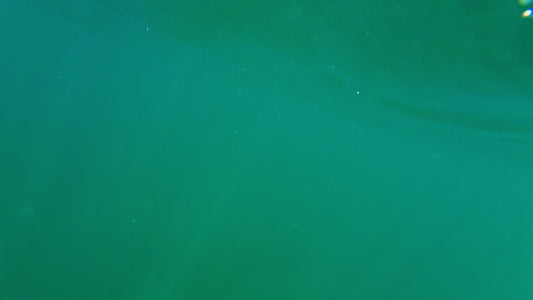 Grub n Tug 3pk